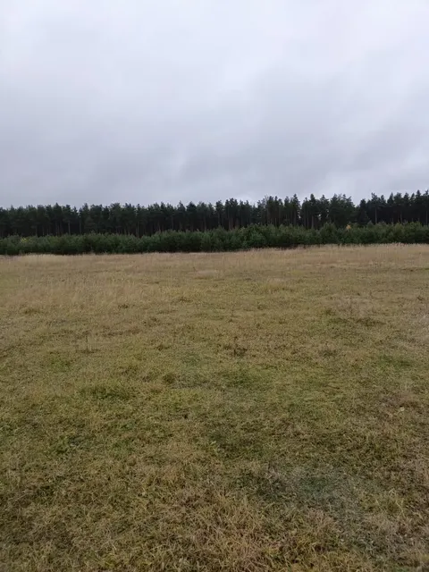 Земельный участок с кадастровым номером 33:06:062601:218