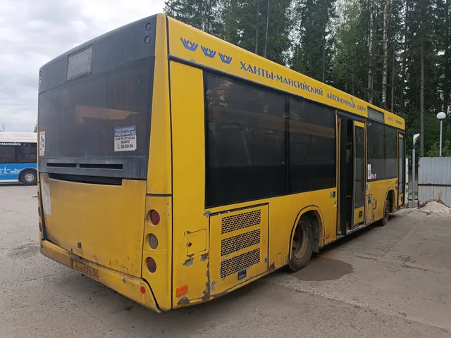 Автобус МАЗ 206085, государственный регистрационный знак  ВВ 571 86