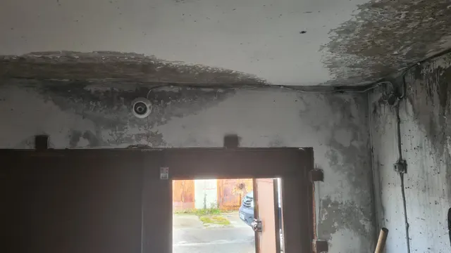 Продажа нежилого помещения (гараж) площадью 19.2 кв.м. с кадастровым номером 89:13:010110:89, РФИ П13720003794, расположенного по адресу: Ямало-Ненецкий автономный округ, г. Муравленко, ул. Дружбы Народов, микрорайон 8-а, гаражный комплекс 2, корпус 2, бокс №17