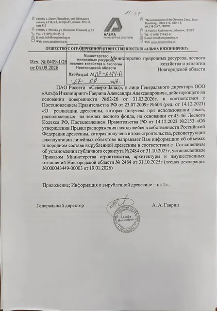 Древесина. Лот № 16.1