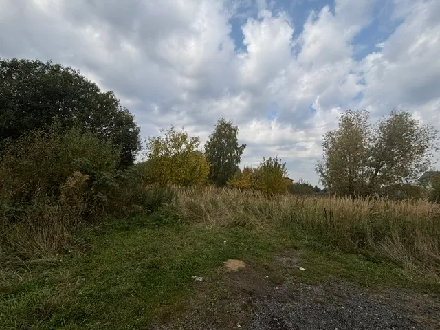 Аукцион в отношении земельного участка с КН 50:29:0060208:1926