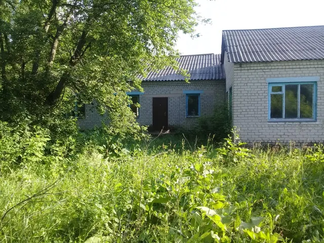 Объект 1: Здание начальной школы, кадастровый номер 48:01:0520101:95, площадью 307,8 кв.м.,  сарай, кадастровый номер 48:01:0520101:173, площадью 15,3 кв.м., уборная площадью 4,6 кв.м.         Объект 2: Земельный участок, кадастровый номер 48:01:0520201:13, площадью 3221 кв.м.        Адрес местоположения объектов: Липецкая обл., Воловский район,  с. Нижнее Большое, ул. Молодежная, д.24