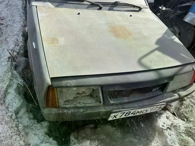 Автомобиль ВАЗ 210930, г/н Х784МО124, 2004г.в., VIN XTA21093043763470, комплектность и состояние  не проверялась данное имущество обращено в доход государства, находится в Бирилюсском районе(Документы отсутствуют)