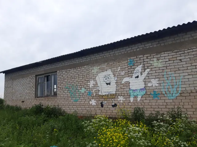 нежилое здание с земельным участком, объединенные в лот № 1, расположенные по адресу: Пермский край, Кунгурский район, д.Моховое