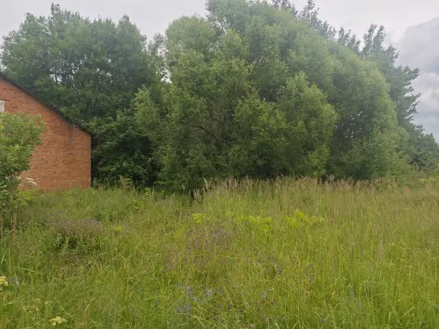 Аренда нежилого здания 91,3 кв.м. с земельным участком 938 кв.м под свободный вид деятельности, не запрещенный действующим законодательством Российской Федерации в Сергиево-Посадском г.о.