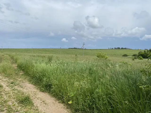 Аукцион в отношении земельного участка с КН 50:19:0050419:896