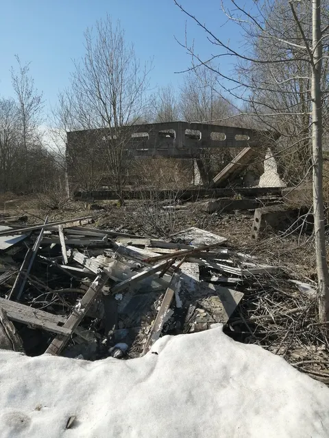 Скотный двор (оставшаяся часть разрушенного здания), площадь 1006,5 кв.м; земельный участок, площадь 1416 кв.м, расположенное по адресу:  Новгородская область, м.о. Новгородский, д. Григорово