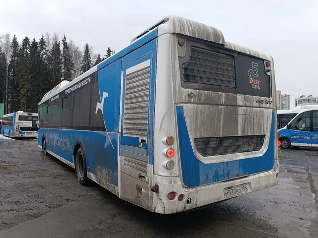 Автобус ЛиАЗ 529267
