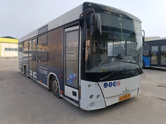 Автобус МАЗ 206086