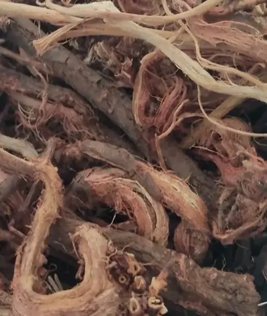 Копеечник чайный(красный корень),Маралий корень (левзей сафлоровидный)
