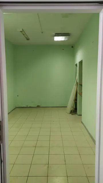 Нежилое помещение с кадастровым номером 32:22:0390251:303, площадью 18,1 кв.м, по адресу: Брянская область, р-н Севский, г. Севск, ул. Ленина, д. 20