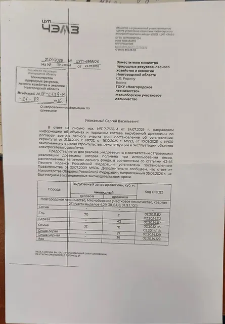 Древесина. Лот № 18.1