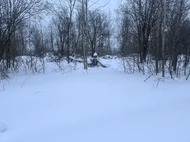 Аукцион в отношении земельного участка с КН 50:16:0401009:42