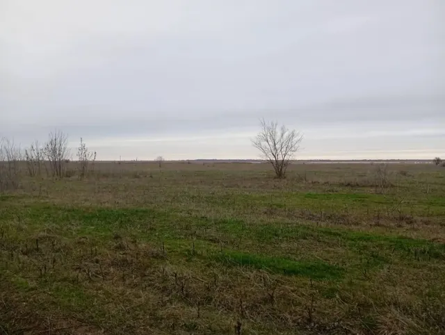 Земельный участок площадью 133254 +/- 3194 кв.м., категория земель: земли сельскохозяйственного назначения, сельскохозяйственное использование, кадастровый № 61:06:0600007:585, должник Пинкин Е.А., (Поручение ТУ Росимущества в РО от 29.07.2026 № 61-1136-У). Адрес (местоположение): Ростовская область, Веселовский район, х. Свобода.