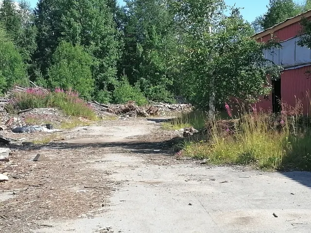 Комплекс зданий (производственное здание и ангар) с земельным участком
