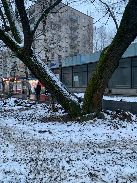 Право заключения договора аренды нежилых помещений, являющихся собственностью городского округа города Вологды, с кадастровым номером 35:24:0401011:2794, расположенных в жилом доме по адресу: Вологодская область, г. Вологда, ул. Панкратова, д. 75, общей площадью 311,2  кв. м (позиции по экспликации: 1 этаж - №№ 46-52, 50а, 54а)