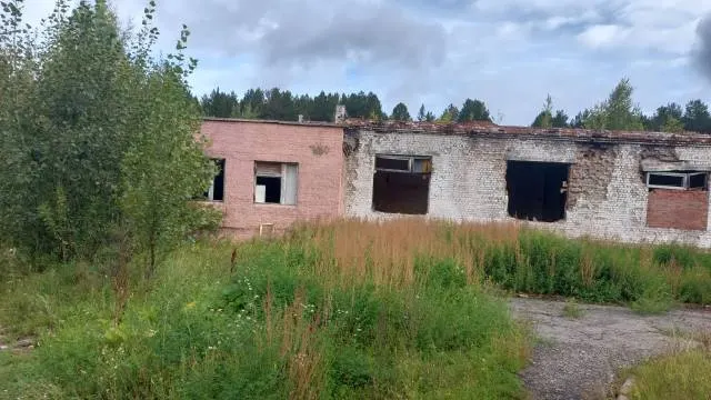 Нежилое здание  - наркологическое отделение и корпус БВО