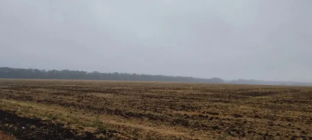 №2 Земельный участок с кадастровым номером 23:11:0602000:403
