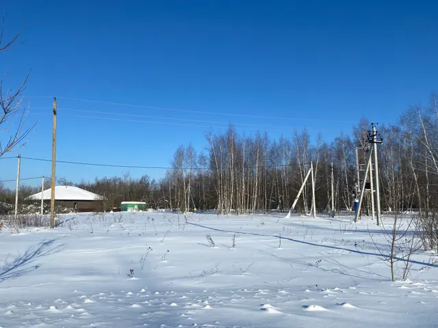 Аукцион в отношении земельного участка с КН 50:35:0050203:970