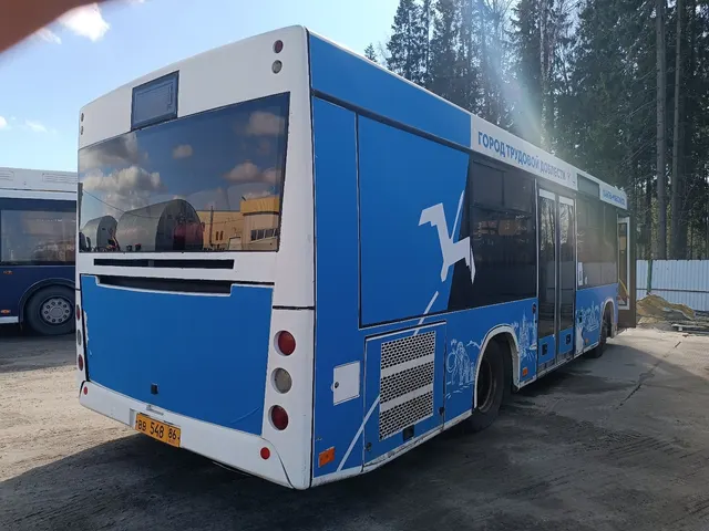 Автобус МАЗ 206086