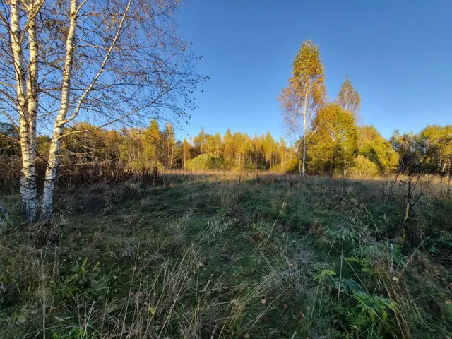 Аукцион в отношении земельного участка с КН 50:18:0020402:761
