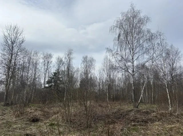 Аукцион в отношении земельного участка с КН 50:17:0011406:378