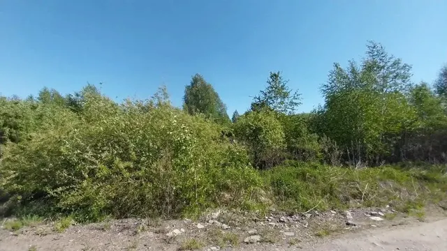 Земельный участок, площадью 665+/-9,02 кв.м, кадастровый №24:04:0301003:6222, расположенный по  адресу: Красноярский край, м.о. Сосновоборский, с. Есаулово, мкр. Лиственная грива, ул. Крайняя, з/у 1. Начальная цена продажи 218 400 руб. Задаток 10850 руб.