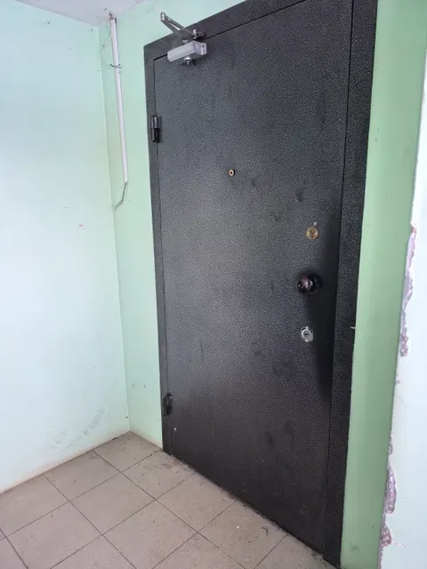 Нежилое помещение, этаж: 1, кадастровый номер 66:17:0809005:979, общая площадь 67,3 кв.м., назначение: нежилое, расположенные по адресу: Свердловская область, г. Нижняя Тура, ул.Малышева, д.49