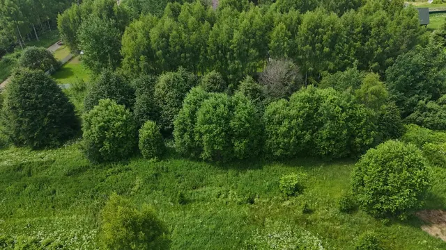 Аукцион в отношении земельного участка с КН 50:07:0010403:670