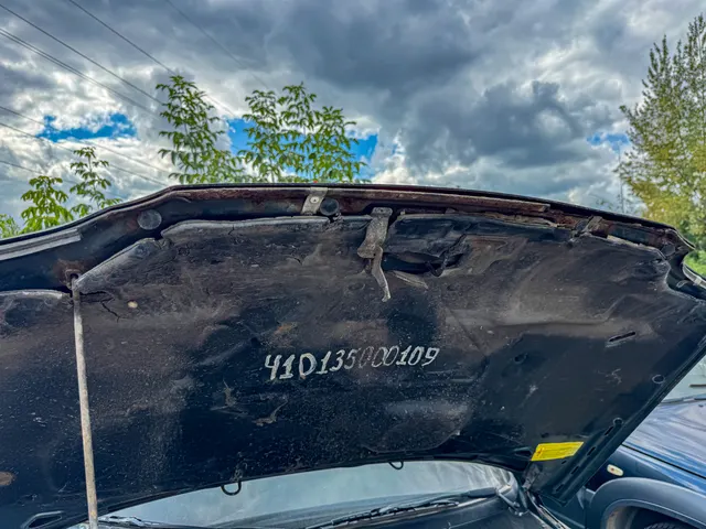 Легковой автомобиль CHEVROLET NIVA, 212300-55, 2011 года выпуска, идентификационный номер (VIN): X9L212300B0349971, модель, номер двигателя – 2123, 0363161, цвет кузова – темный серо-зеленый метал