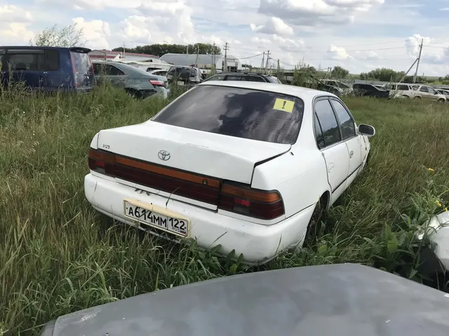 Транспортное средство (в виде реализация прямого назначения) 1.Автомобиль TOYOTA СOROLLA, 1993 г.в., А614ММ122, идентификационный номер  АЕ1003074918, (Б/У, вокруг по кузову присутствуют сколы, ключи и документы отсутствуют). 2. Автомобиль TOYOTA СOROLLA FIELDER, 2010 г.в., H492KT154,№ кузова NZE1419172254 (ТС в рабочем состоянии, документы и ключи в наличии).