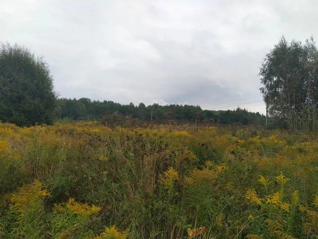Предметом аукциона в электронной форме является право заключения договора аренды земельного участка, находящегося в государственной собственности Нижегородской области, с кадастровым номером 52:13:0120203:295, площадью 1000±11 кв. м, категория земель – земли населенных пунктов, местоположением: Российская Федерация, Нижегородская область, район Чкаловский, Вершиловская сельская администрация, у д.Кузнецово, с видом разрешенного использования: для ведения личного подсобного хозяйства