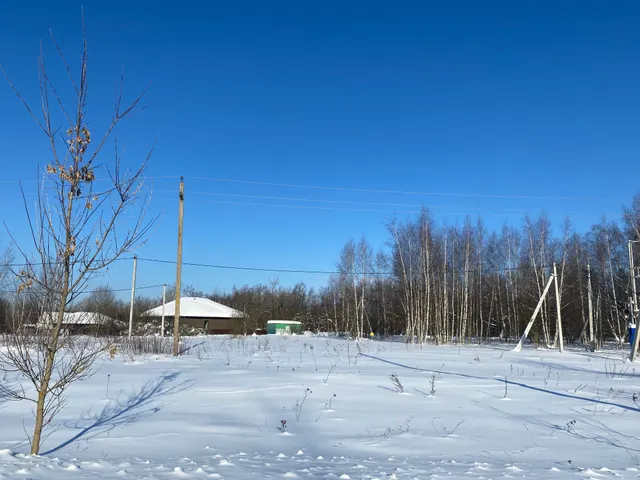 Аукцион в отношении земельного участка с КН 50:35:0050203:970