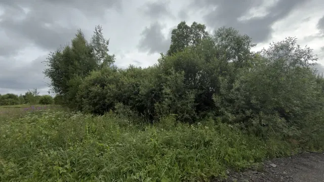 Аукцион в отношении земельного участка с КН 50:08:0090326:513