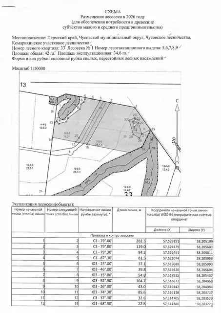 Аукцион на право заключения договора купли-продажи лесных насаждений для заготовки древесины субъектами малого и среднего предпринимательства.