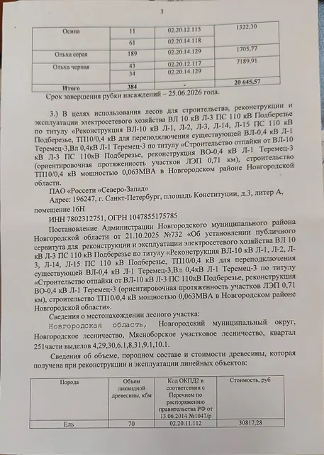 Древесина. Лот № 18.1