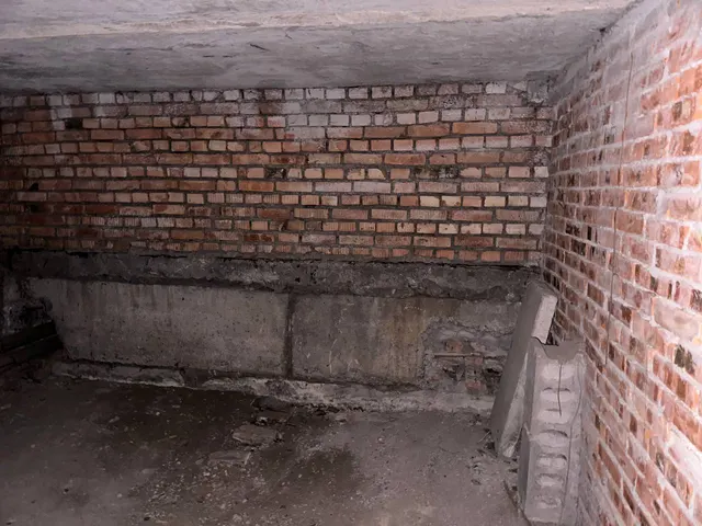 Нежилое помещение, находящееся в государственной собственности Санкт-Петербурга, расположенное по адресу: Санкт-Петербург,    Наличная улица, д. 31, литера А, пом. 2-Н