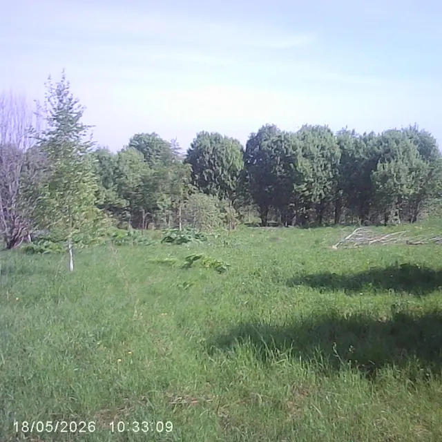 Аукцион в отношении земельного участка с КН 50:06:0090504:678