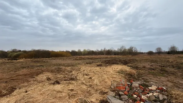 Аукцион в отношении земельного участка с КН 50:08:0090341:389