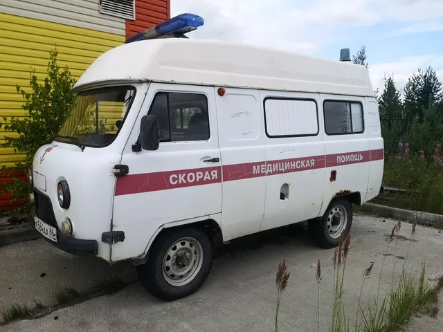 Транспортное средство Специализ.автомобиль (А/м скорой мед.помощи) УАЗ 396255, 2012 года изготовления, идентификационный номер (VIN) XТТ396255D0479414