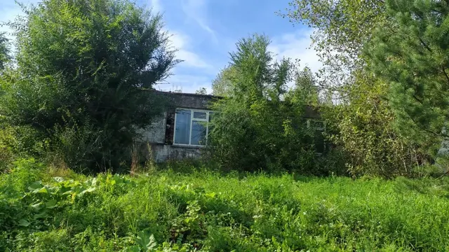 Нежилое здание 42:09:0101001:2135/площадь 312,4 кв.м; земельный участок 42:09:0101001:3400/площадь 1069  кв.м