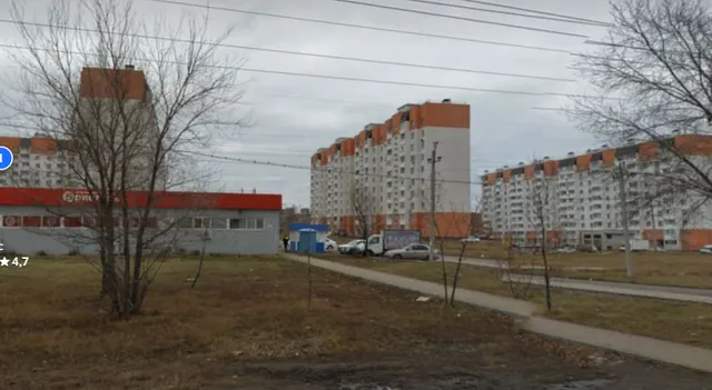 Размещение нестационарного торгового объекта