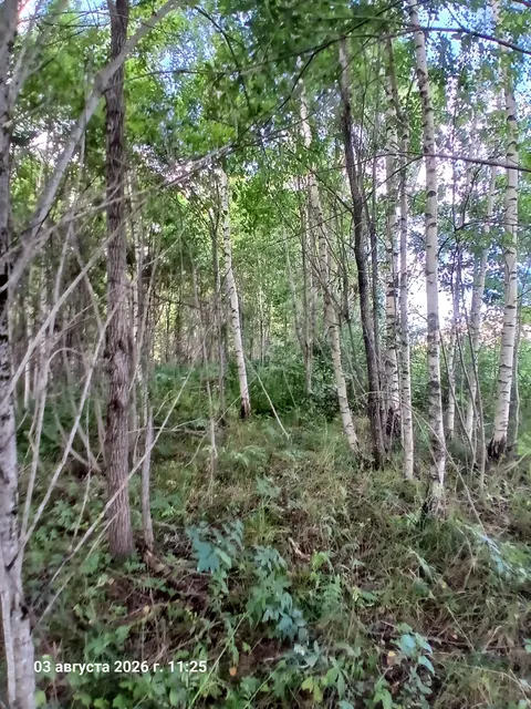 Аукцион в отношении земельного участка с КН 50:06:0070205:366