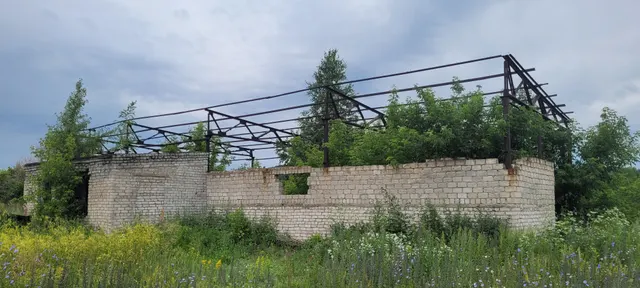 нежилое здание лесопильного цеха кадастровый номер 22:67:010101:82, общей площадью 247 кв.м. и земельный участок кадастровый номер 22:67:020115:347, общей площадью 699 кв.м., расположенные по адресу: Российская Федерация, Алтайский край, р-н. Змеиногорский, г. Змеиногорск, ул. Ф.Лелеснова, д. 6.