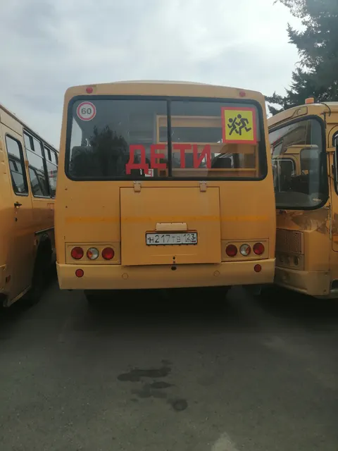 автобус для перевозки детей ПАЗ 32053-70, 2017 года выпуска, модель  № двигателя 523420 Н1000991, номер кузова Х1М3205ВХН0001376, идентификационный номер (VIN) Х1М3205ВХН0001376, цвет кузова желтый