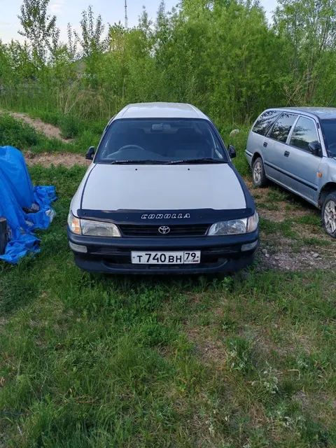 Автомобиль марки Toyota Corolla, г/н Т740ВН79 ,1995 г.в., № кузова ЕЕ1030026334, цвет белый