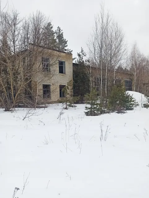 Столярный цех с пристройкой, площадью 430,8 кв.м., с кад. № 32:12:0010304:211, расположенный по адресу: Российская Федерация, Брянская область, м.р-н Климовский, г.п. Климовское, рп. Климово, ул. Брянская, д. 60 стр. 6 и земельный участок под ним с кадастровым № 32:12:0010305:166