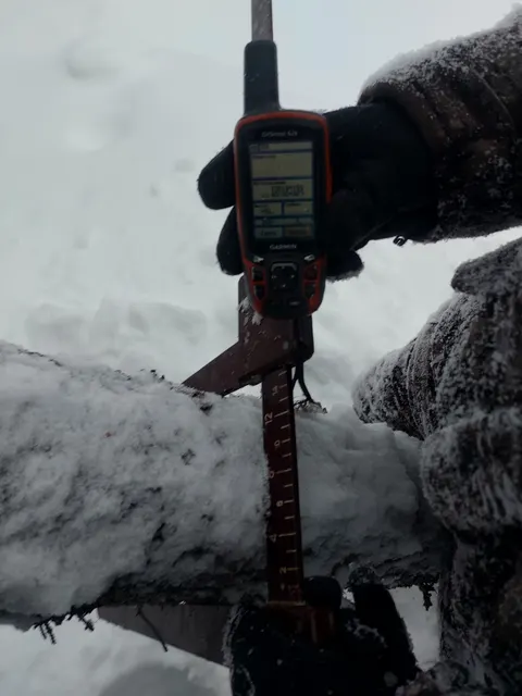 Стволы деревьев породы:  -«Береза» - 7 шт. – 1,710 м3; -«Лиственница» - 5шт. – 0,706 м3; -«Ель» - 16 шт. – 1,914 м3; -«Кедр» - 6 шт. – 0,624 м3; -«Сосна» - 6 шт. – 4,590  м3; -«Осина» - 1 шт. – 0,24 м3, общий объем 9,784 м3(860 ВД/МВД/СО)