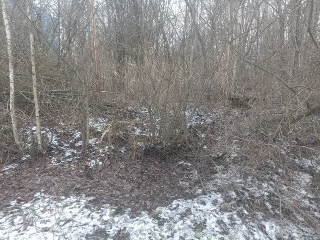 Прием заявок на право заключения договора аренды федерального недвижимого имущества, расположенного по адресу: Московская область, Солнечногорский район, г. Солнечногорск, ул. Разина, д. 21.