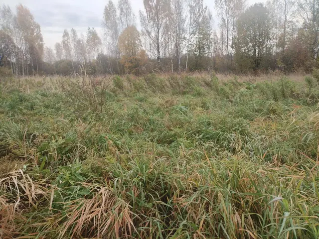 Аукцион в отношении земельного участка с КН 50:18:0070452:1197